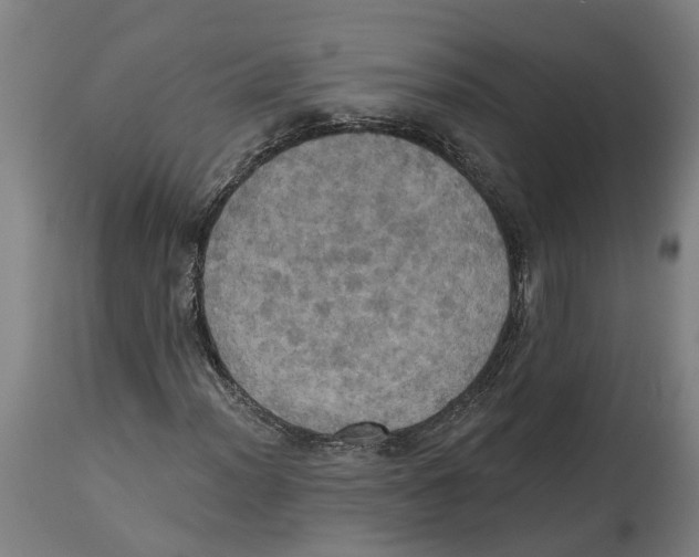 X0000114421012200911131446