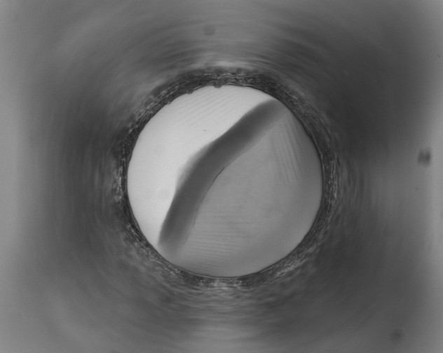 X0000114421013200911131446