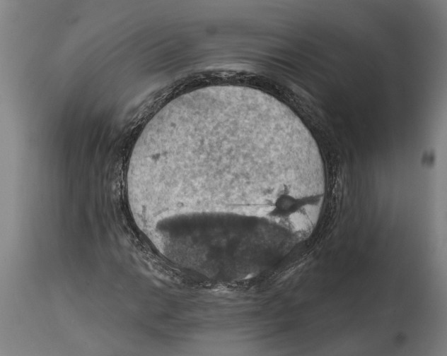 X0000114421014200911131446