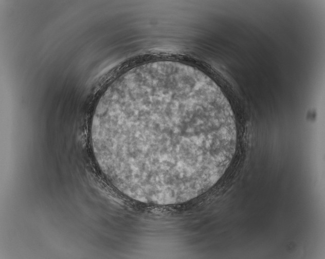 X0000114421015200911131446