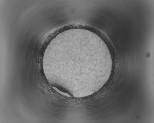 X0000114421016200911131446