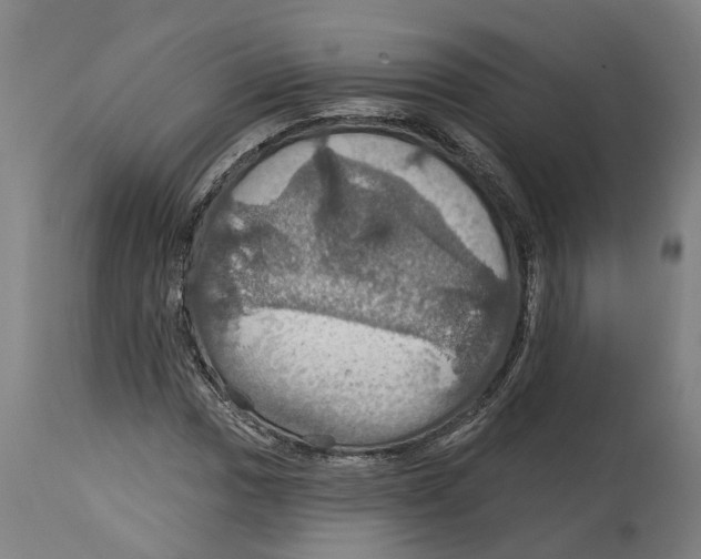 X0000114421017200911131446