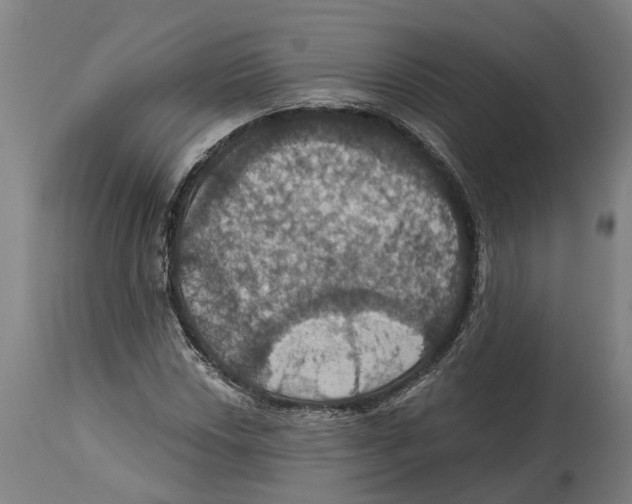 X0000114421018200911131446