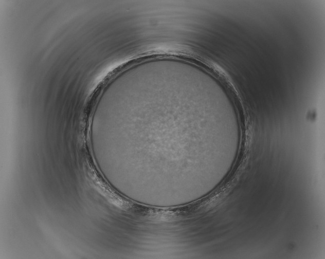 X0000114421019200911131446