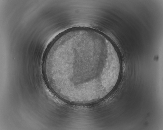 X0000114421020200911131446