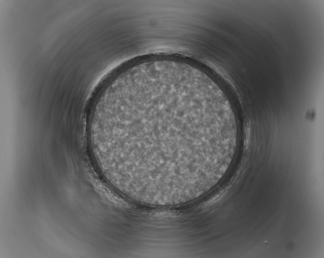 X0000114421021200911131446