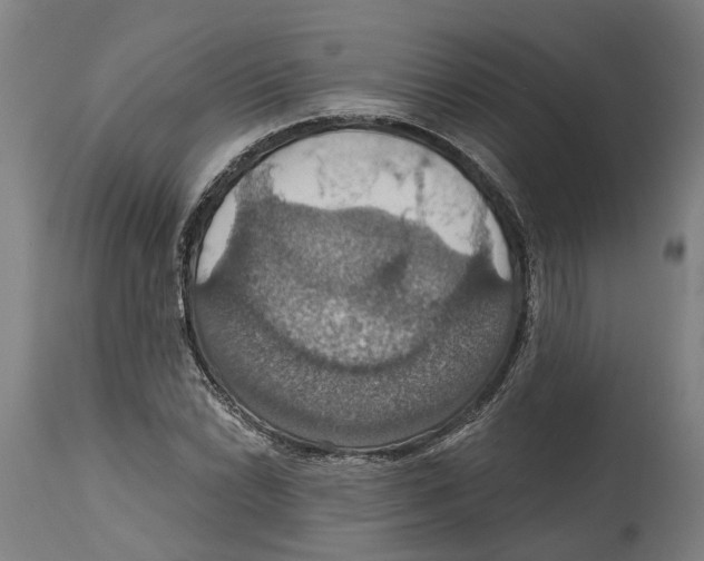 X0000114421022200911131446