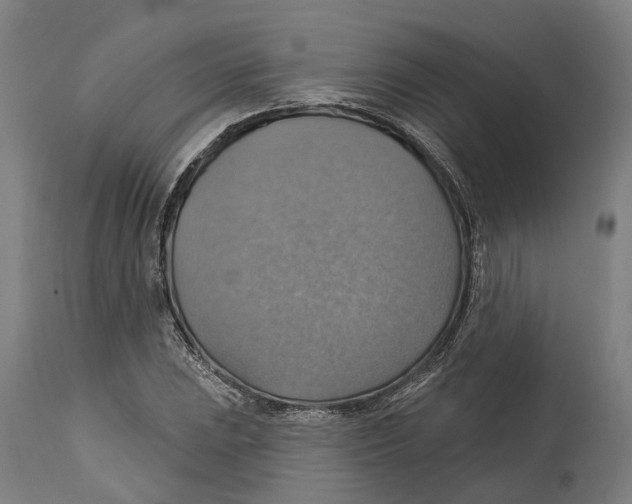 X0000114421023200911131446