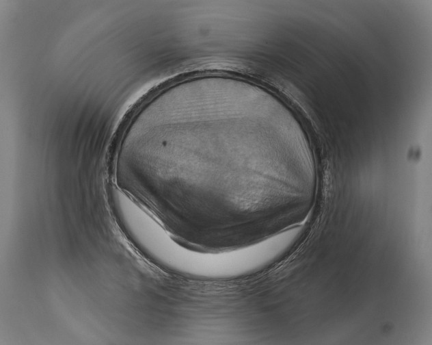 X0000114421024200911131446