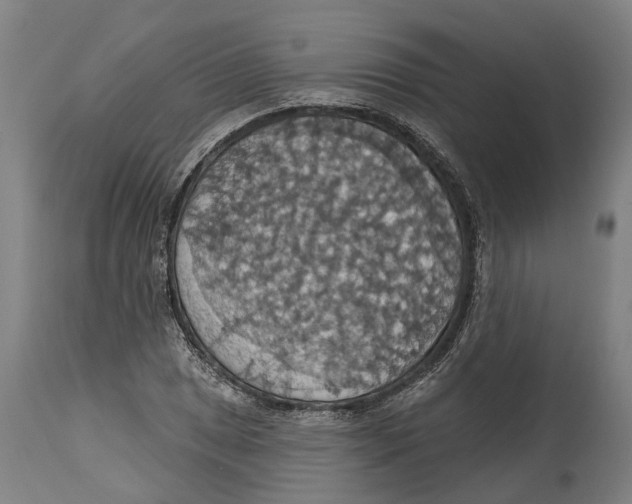 X0000114421025200911131446