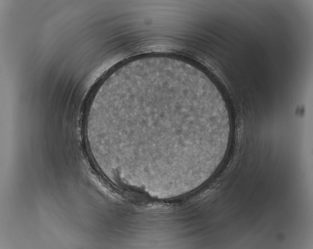 X0000114421026200911131446