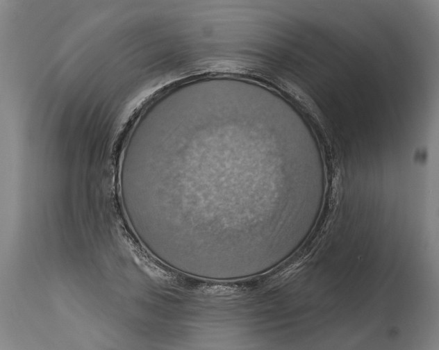 X0000114421027200911131446