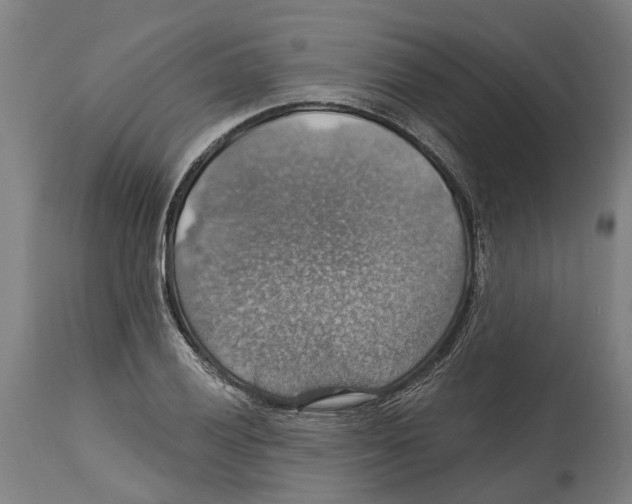 X0000114421028200911131446