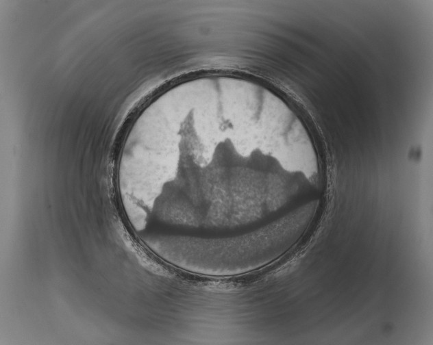 X0000114421029200911131446