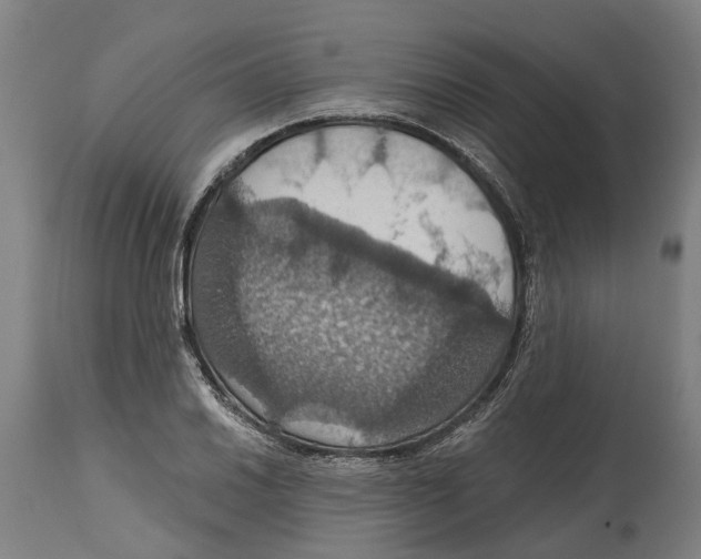 X0000114421030200911131446