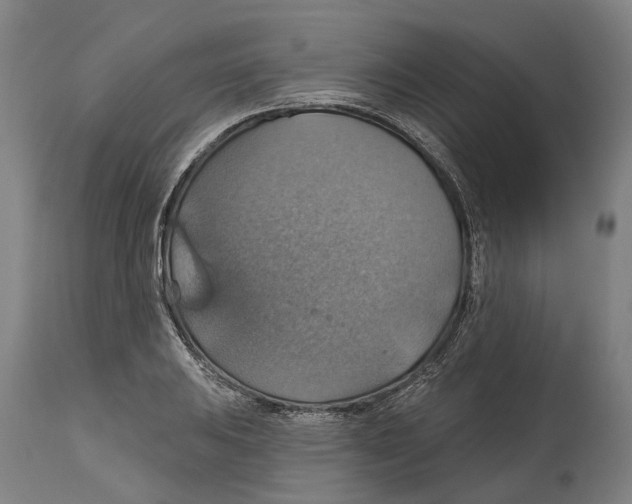 X0000114421031200911131446