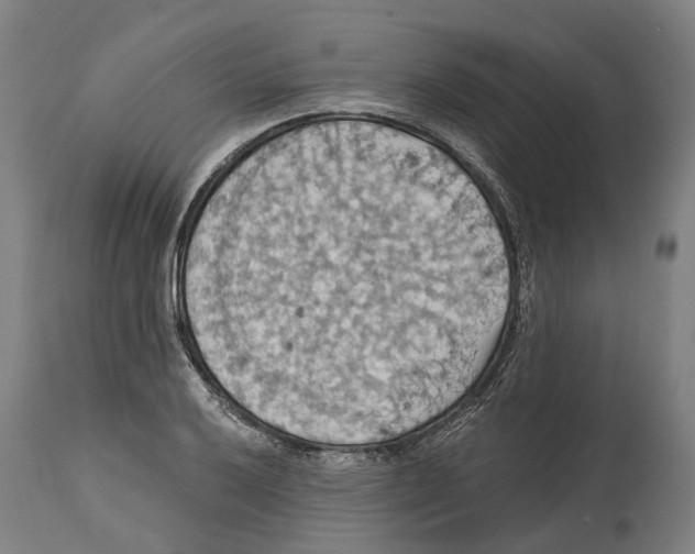 X0000114421032200911131446