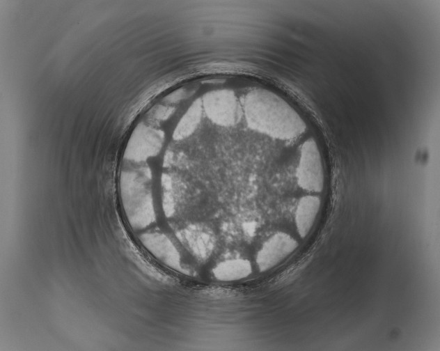 X0000114421033200911131446