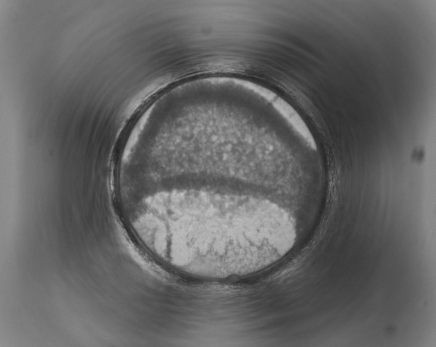 X0000114421034200911131446