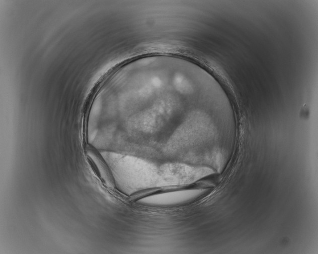 X0000114421035200911131446