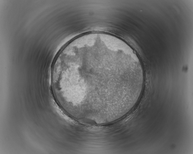 X0000114421036200911131446