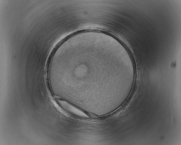 X0000114421037200911131446