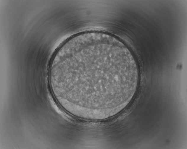 X0000114421038200911131446