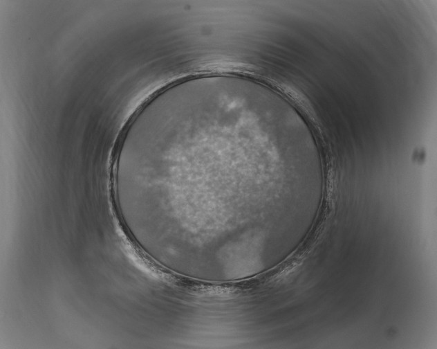 X0000114421039200911131446