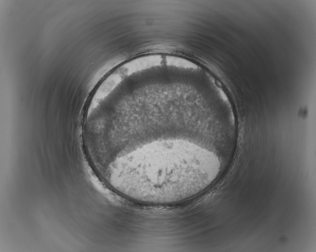 X0000114421042200911131446