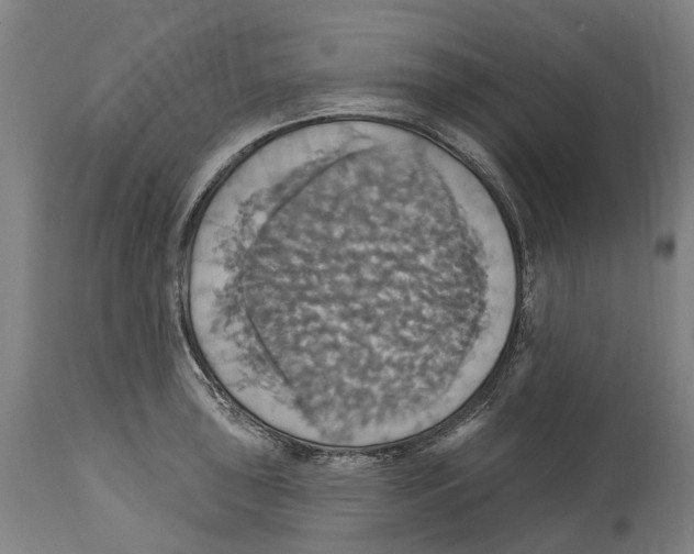 X0000114421043200911131446