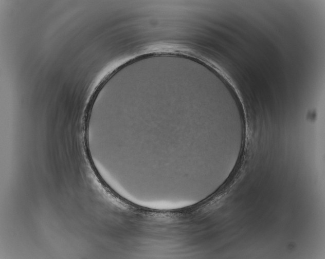 X0000114421045200911131446