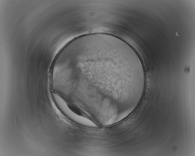 X0000114421047200911131446