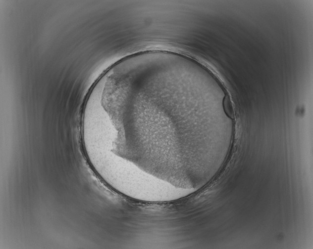 X0000114421048200911131446