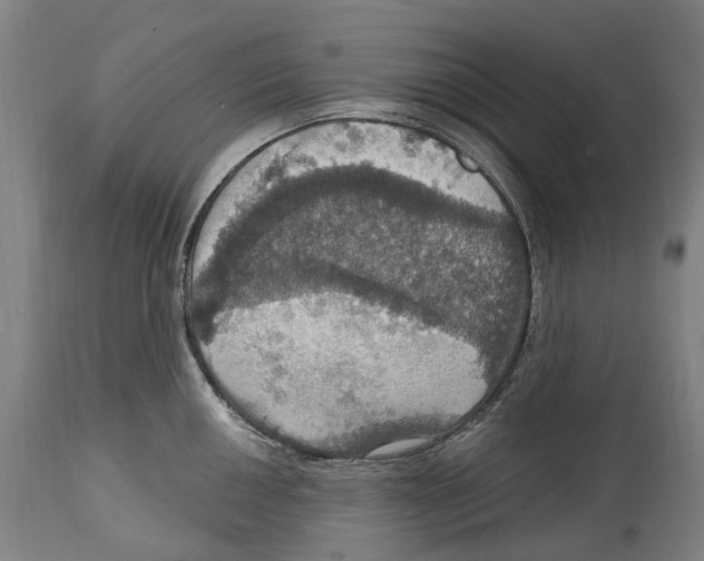 X0000114421050200911131446