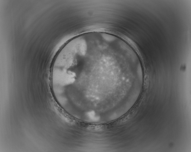 X0000114421051200911131446