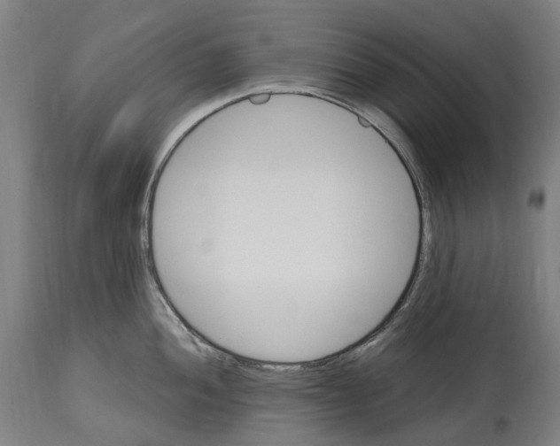 X0000114421052200911131446