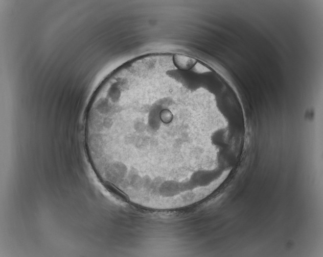 X0000114421053200911131446