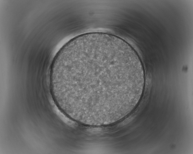 X0000114421054200911131446