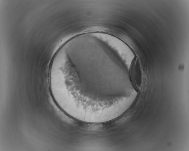 X0000114421055200911131446