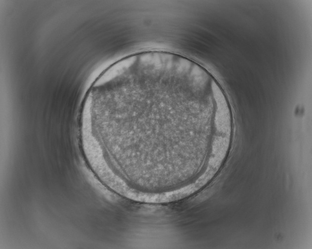 X0000114421056200911131447