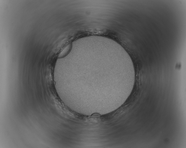 X0000114421058200911131446