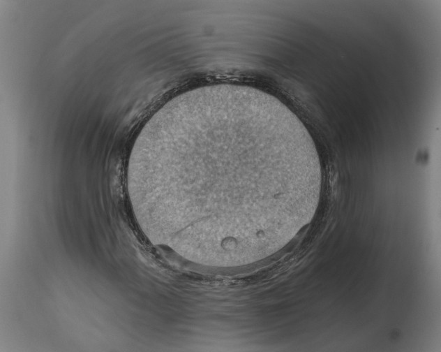 X0000114421060200911131446