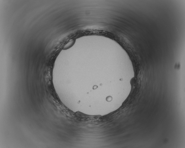 X0000114421062200911131446