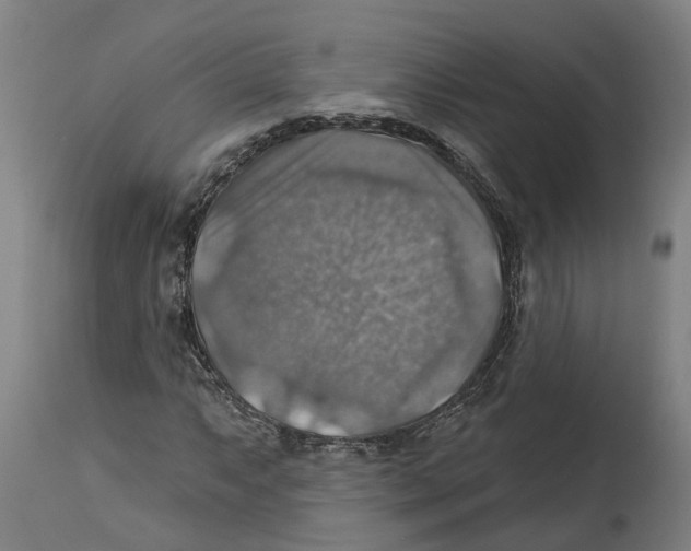 X0000114421063200911131446