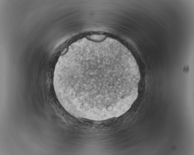 X0000114421064200911131446