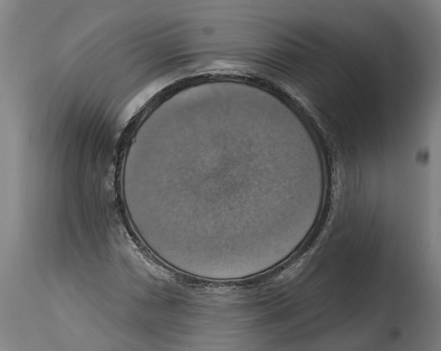 X0000114421066200911131446