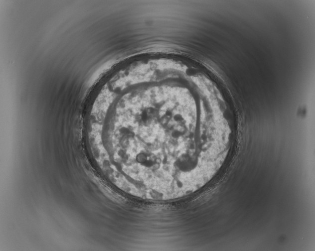 X0000114421067200911131446