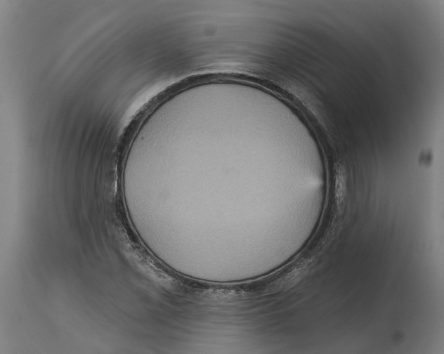 X0000114421069200911131446