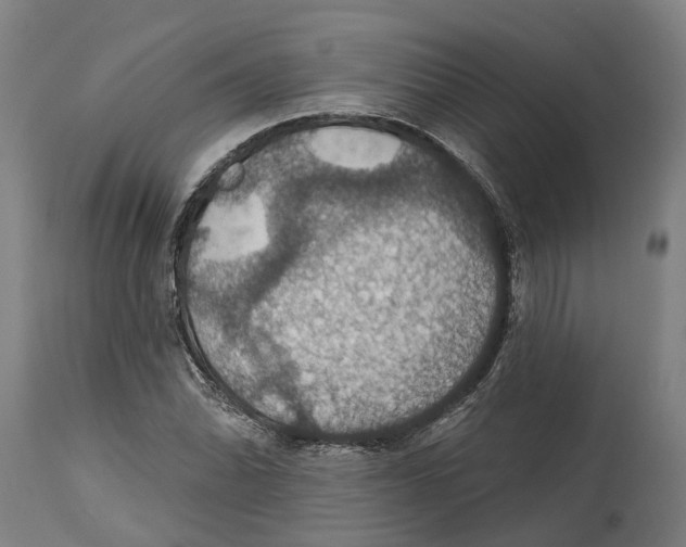 X0000114421070200911131446