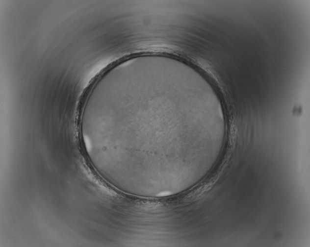 X0000114421071200911131446